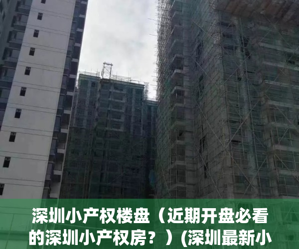 深圳小产权楼盘（近期开盘必看的深圳小产权房？）(深圳最新小产权房房源)