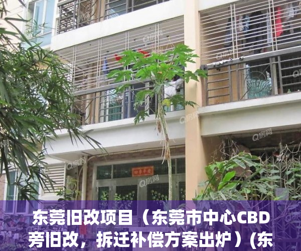 东莞旧改项目（东莞市中心CBD旁旧改，拆迁补偿方案出炉）(东莞城区旧改爆发)