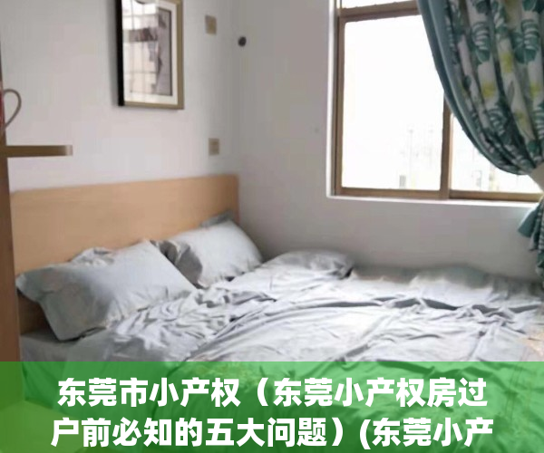 东莞市小产权（东莞小产权房过户前必知的五大问题）(东莞小产权怎么过户)