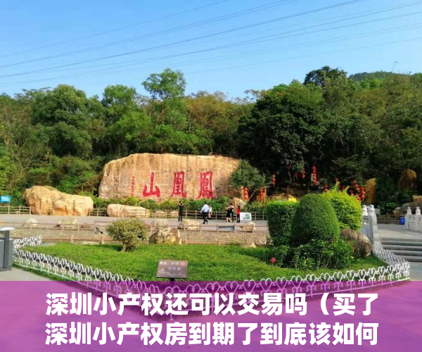 深圳小产权还可以交易吗（买了深圳小产权房到期了到底该如何处理呢？）