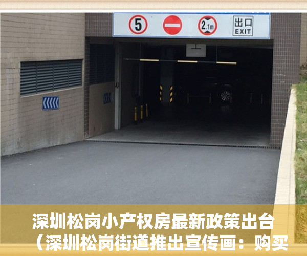 深圳松岗小产权房最新政策出台（深圳松岗街道推出宣传画：购买小产权房，你买到的将是个隐患）