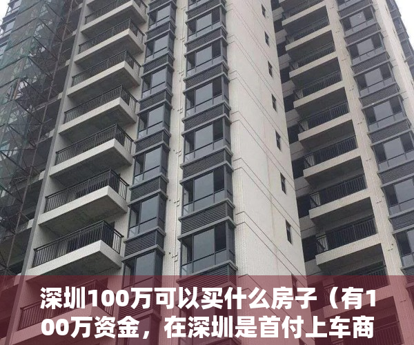 深圳100万可以买什么房子（有100万资金，在深圳是首付上车商品房，还是全款小产权房？）