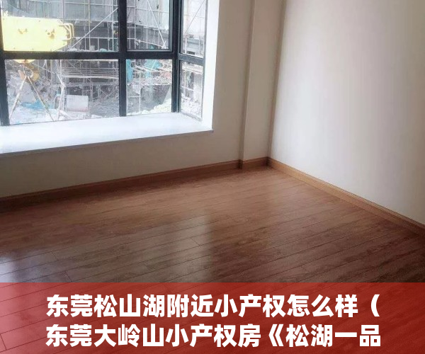东莞松山湖附近小产权怎么样（东莞大岭山小产权房《松湖一品》3栋小区房，带车库，可分期10年）