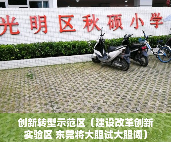 创新转型示范区（建设改革创新实验区 东莞将大胆试大胆闯）