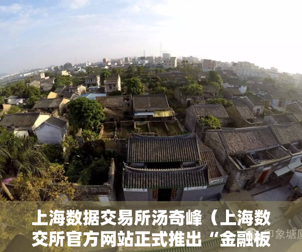 上海数据交易所汤奇峰（上海数交所官方网站正式推出“金融板块”信息平台）