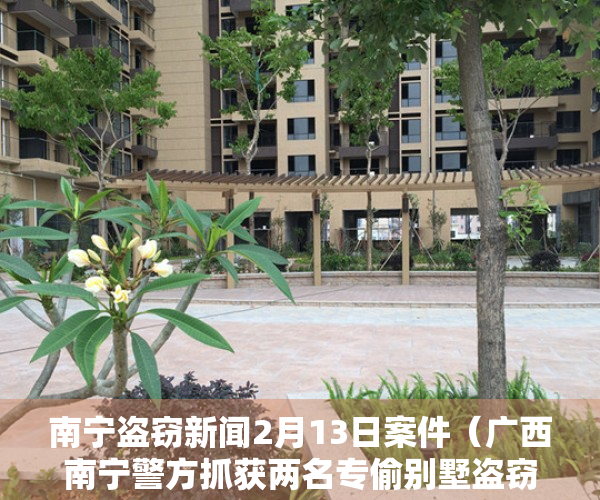 南宁盗窃新闻2月13日案件（广西南宁警方抓获两名专偷别墅盗窃犯 追回价值80万元名画、名酒）