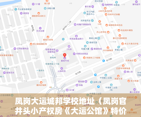 凤岗大运城邦学校地址（凤岗官井头小产权房《大运公馆》特价三房598万套，民用水电）