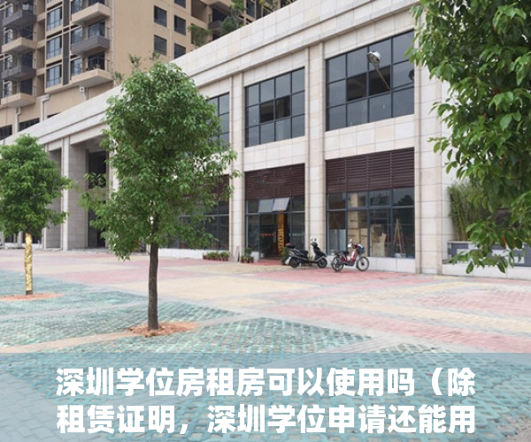 深圳学位房租房可以使用吗（除租赁证明，深圳学位申请还能用这些住房材料！附学位锁定查询）