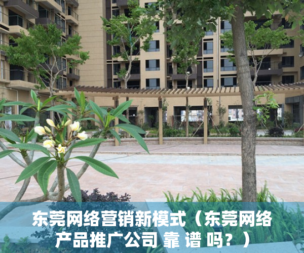 东莞网络营销新模式（东莞网络产品推广公司 靠 谱 吗？）