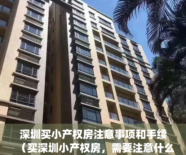 深圳买小产权房注意事项和手续（买深圳小产权房，需要注意什么）(深圳买小产权的房子要注意什么)