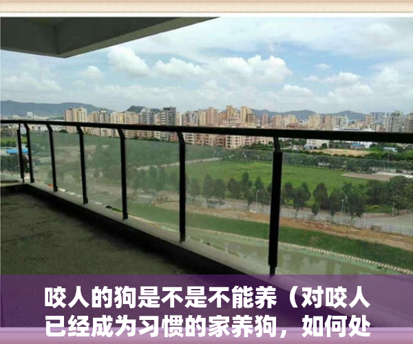 咬人的狗是不是不能养（对咬人已经成为习惯的家养狗，如何处理还真是个问题）