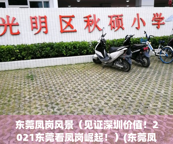 东莞凤岗风景（见证深圳价值！2021东莞看凤岗崛起！）(东莞凤岗好去处)