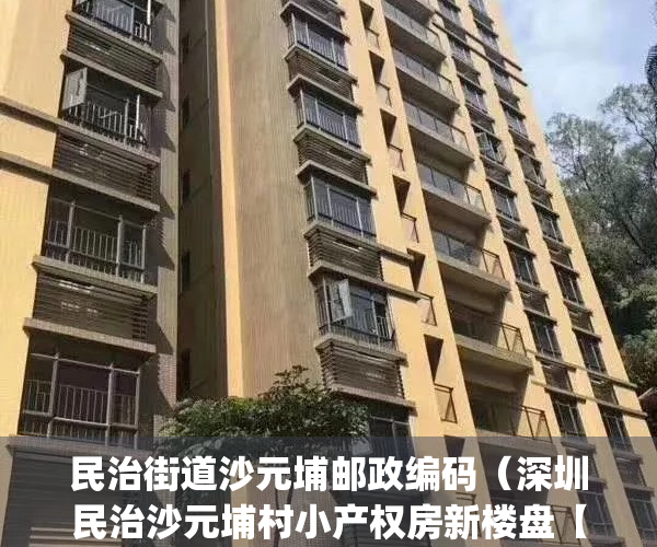 民治街道沙元埔邮政编码（深圳民治沙元埔村小产权房新楼盘【民治经典】出售 电梯精装现房 1梯4户 带管道燃气 668万套起 (图文)）