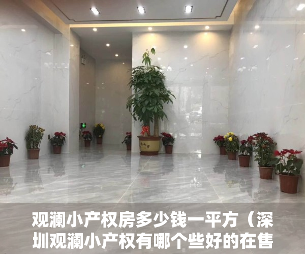 观澜小产权房多少钱一平方（深圳观澜小产权有哪个些好的在售，可以买吗？）