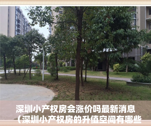 深圳小产权房会涨价吗最新消息（深圳小产权房的升值空间有哪些表现）