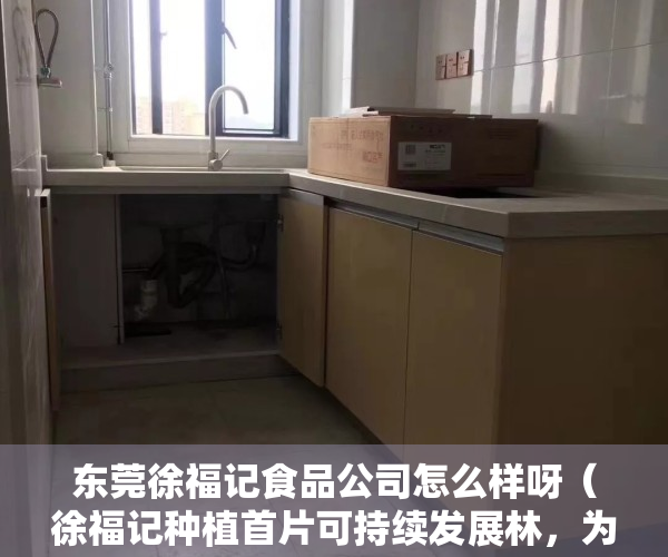东莞徐福记食品公司怎么样呀（徐福记种植首片可持续发展林，为莞添新绿）