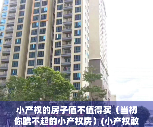 小产权的房子值不值得买（当初你瞧不起的小产权房）(小产权敢买吗)