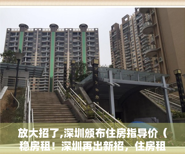 放大招了,深圳颁布住房指导价（稳房租！深圳再出新招，住房租金指导价能阻止房租上涨吗？）