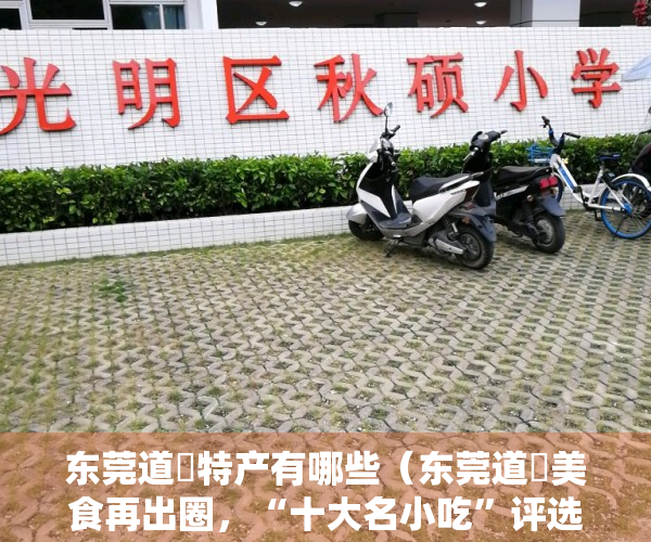 东莞道滘特产有哪些（东莞道滘美食再出圈，“十大名小吃”评选暨“十大名菜”复评启动）
