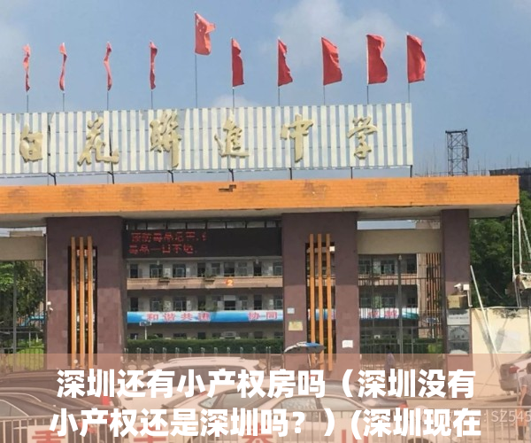深圳还有小产权房吗（深圳没有小产权还是深圳吗？）(深圳现在小产权房买了以后有风险吗)