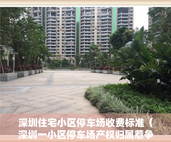 深圳住宅小区停车场收费标准（深圳一小区停车场产权归属惹争议，街道办介入调解）