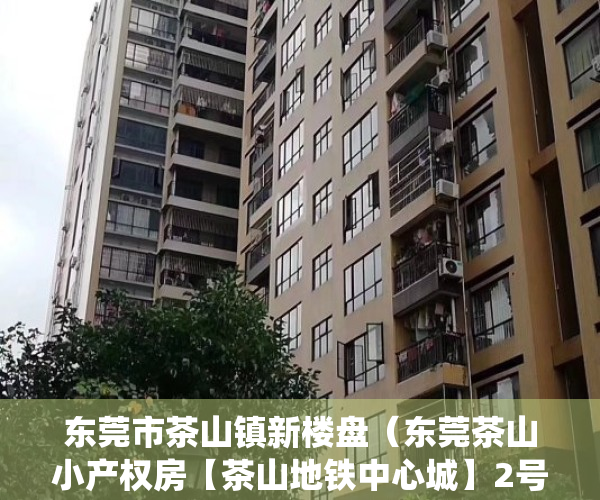 东莞市茶山镇新楼盘（东莞茶山小产权房【茶山地铁中心城】2号线地铁口东莞火车站旁在售统建楼茶山泽景体育 京山综合市场旁!）