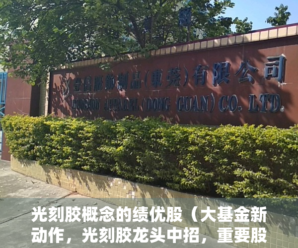 光刻胶概念的绩优股（大基金新动作，光刻胶龙头中招，重要股东+北上资金联手卖出这些股）