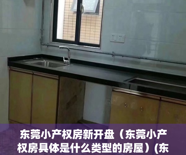 东莞小产权房新开盘（东莞小产权房具体是什么类型的房屋）(东莞小产权房最新政策2020阳光网)