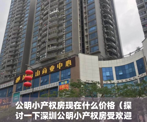 公明小产权房现在什么价格（探讨一下深圳公明小产权房受欢迎的原因）