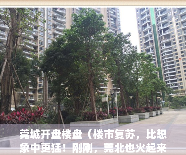 莞城开盘楼盘（楼市复苏，比想象中更猛！刚刚，莞北也火起来了）(东莞莞城新楼盘2020开盘)