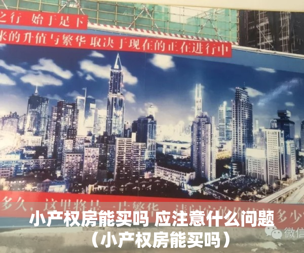 小产权房能买吗 应注意什么问题（小产权房能买吗）