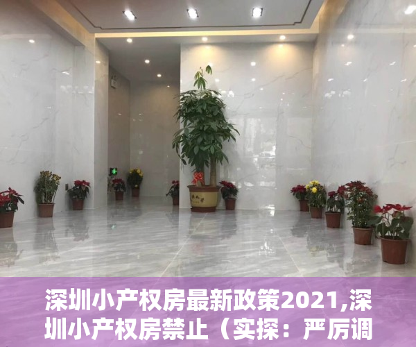 深圳小产权房最新政策2021,深圳小产权房禁止（实探：严厉调控下深圳小产权房火了 不按面积按套卖）
