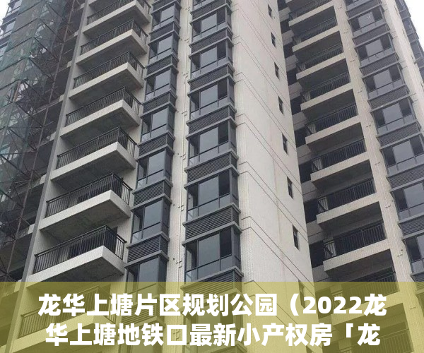 龙华上塘片区规划公园（2022龙华上塘地铁口最新小产权房「龙塘名苑」原始户型，双地铁口）