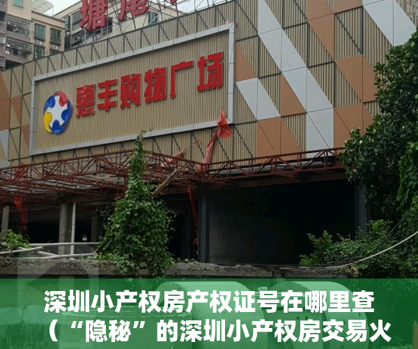 深圳小产权房产权证号在哪里查（“隐秘”的深圳小产权房交易火热 背后风险重重）