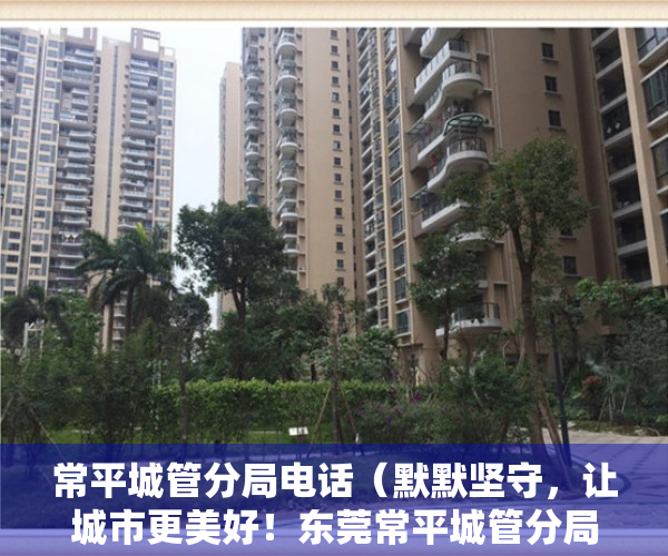 常平城管分局电话（默默坚守，让城市更美好！东莞常平城管分局形象宣传片《他是谁》发布）