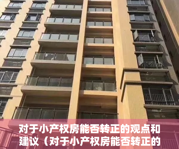 对于小产权房能否转正的观点和建议（对于小产权房能否转正的观点！）