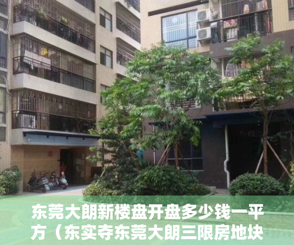 东莞大朗新楼盘开盘多少钱一平方（东实夺东莞大朗三限房地块，销售均价不高于31232元㎡）