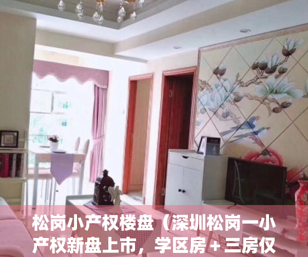 松岗小产权楼盘（深圳松岗一小产权新盘上市，学区房＋三房仅76万8）(松岗在售二手小产权房)