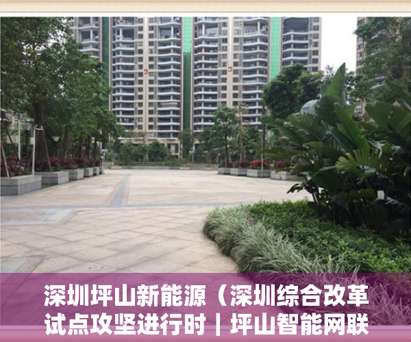 深圳坪山新能源（深圳综合改革试点攻坚进行时｜坪山智能网联汽车产业产值突破千亿 积极探索应用管理新机制 推动产业集聚）