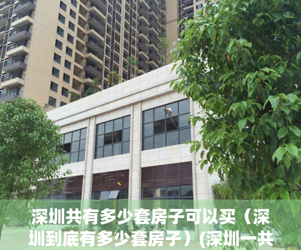 深圳共有多少套房子可以买（深圳到底有多少套房子）(深圳一共有多少套房子)