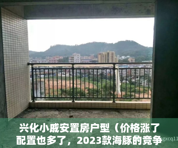 兴化小戚安置房户型（价格涨了配置也多了，2023款海豚的竞争力强化在了哪儿？）