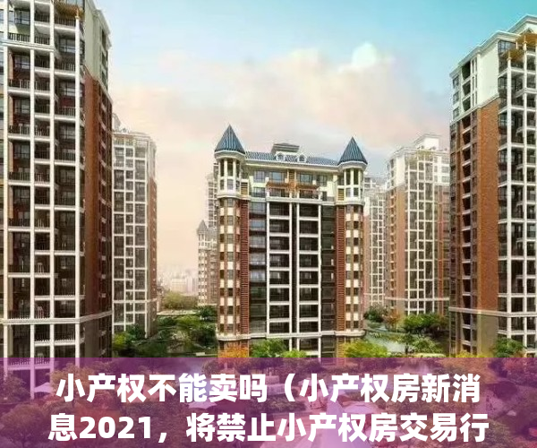 小产权不能卖吗（小产权房新消息2021，将禁止小产权房交易行为）(小产权不能买卖出让转让有法律条文规定吗)