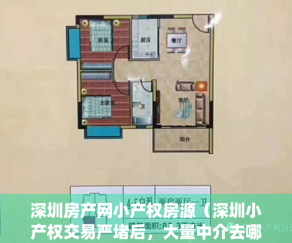 深圳房产网小产权房源（深圳小产权交易严堵后，大量中介去哪儿了？）(深圳小产权房直售平台)