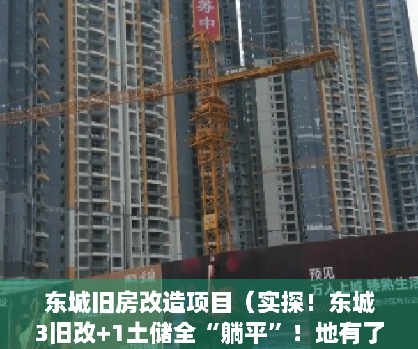 东城旧房改造项目（实探！东城3旧改+1土储全“躺平”！地有了，房子呢？）(东城旧房改造名单)