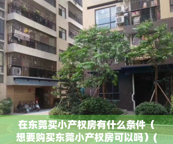 在东莞买小产权房有什么条件（想要购买东莞小产权房可以吗）(有在东莞买小产权房的吗)