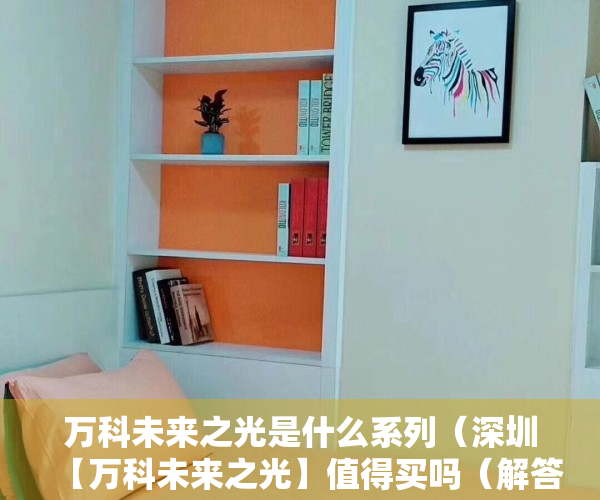 万科未来之光是什么系列（深圳【万科未来之光】值得买吗（解答+图文分析））