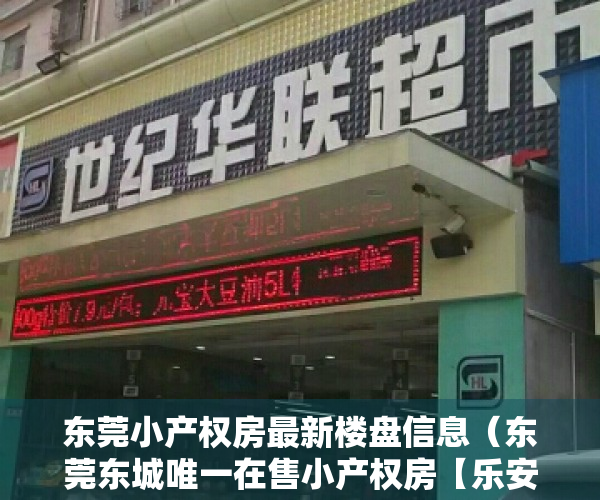 东莞小产权房最新楼盘信息（东莞东城唯一在售小产权房【乐安雅苑】带装修 可分期 最后7套）