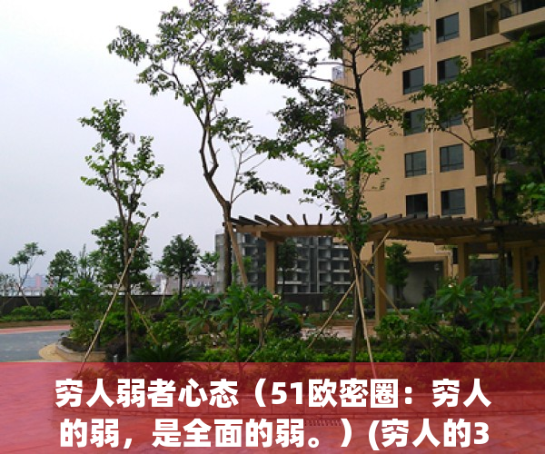 穷人弱者心态（51欧密圈：穷人的弱，是全面的弱。）(穷人的3大致命弱点)