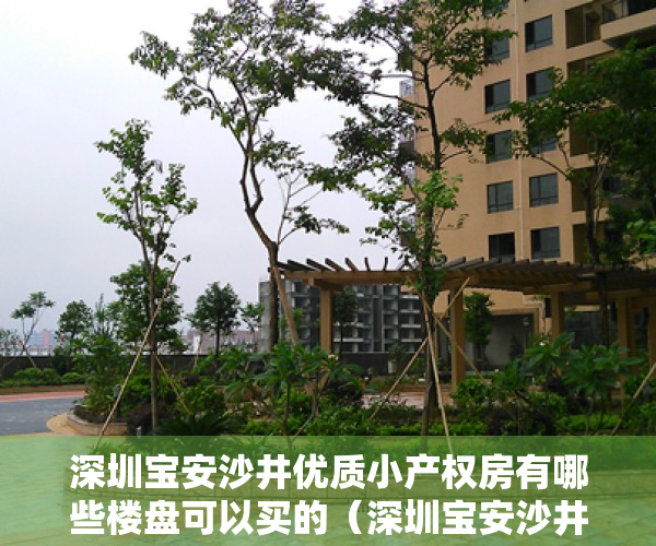 深圳宝安沙井优质小产权房有哪些楼盘可以买的（深圳宝安沙井优质小产权房有哪些楼盘）
