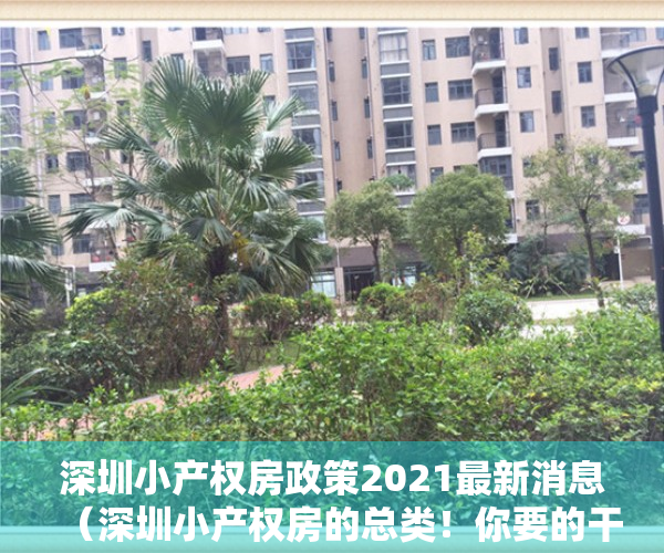 深圳小产权房政策2021最新消息（深圳小产权房的总类！你要的干货都在这里！）